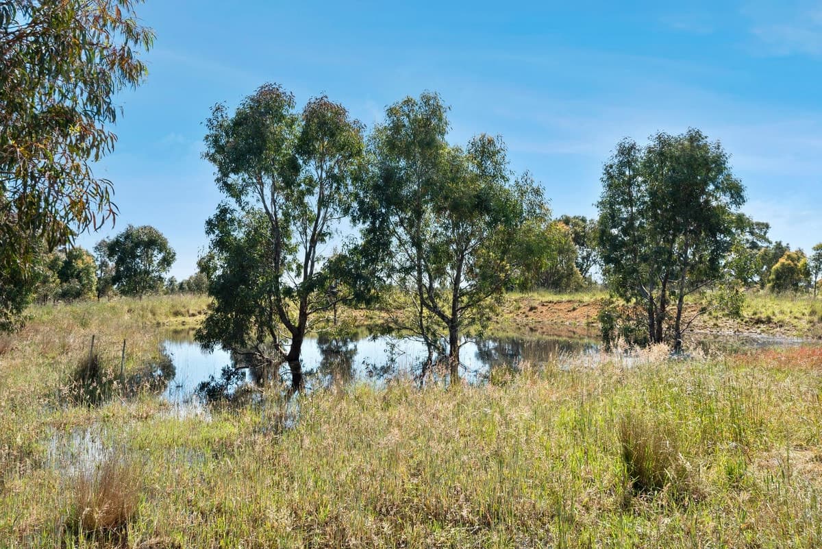 1440 Bannockburn - Shelford Road, Teesdale, VIC, Teesdale - Thumbnail 4