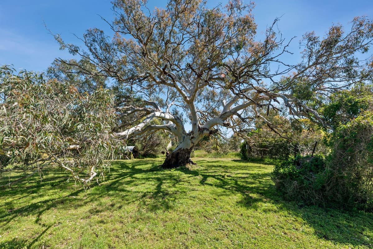 1440 Bannockburn - Shelford Road, Teesdale, VIC, Teesdale - Thumbnail 5