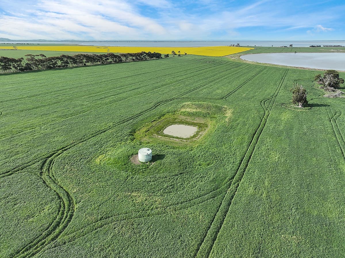 240 Homestead Road, Leslie Manor, VIC, Leslie Manor - Thumbnail 4