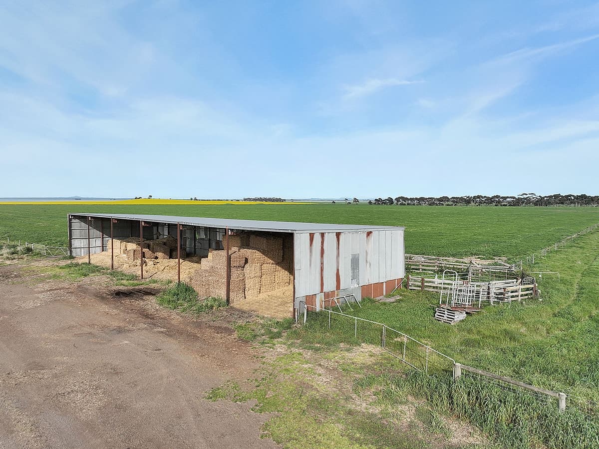 240 Homestead Road, Leslie Manor, VIC, Leslie Manor - Thumbnail 6