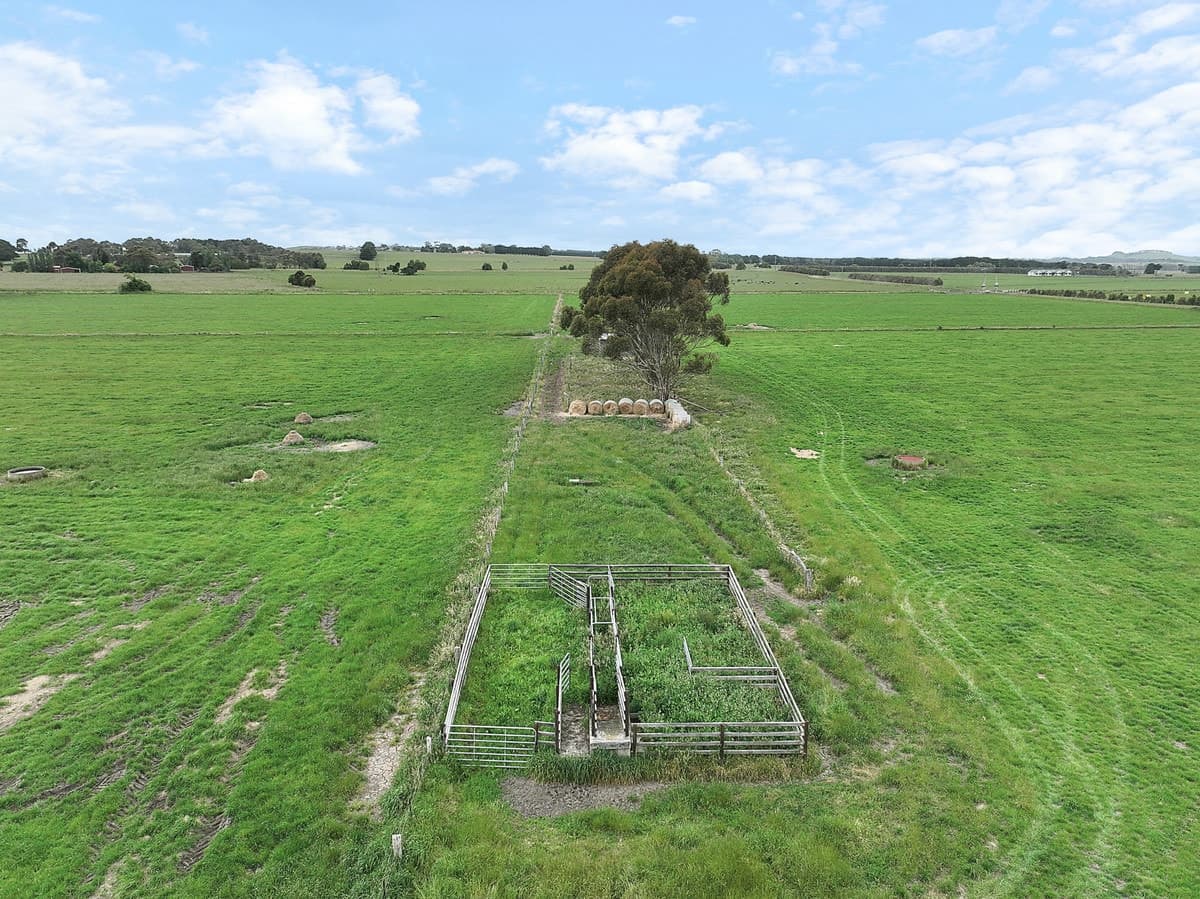 Castle Carey Road, Gnotuk, VIC, Gnotuk - Thumbnail 5