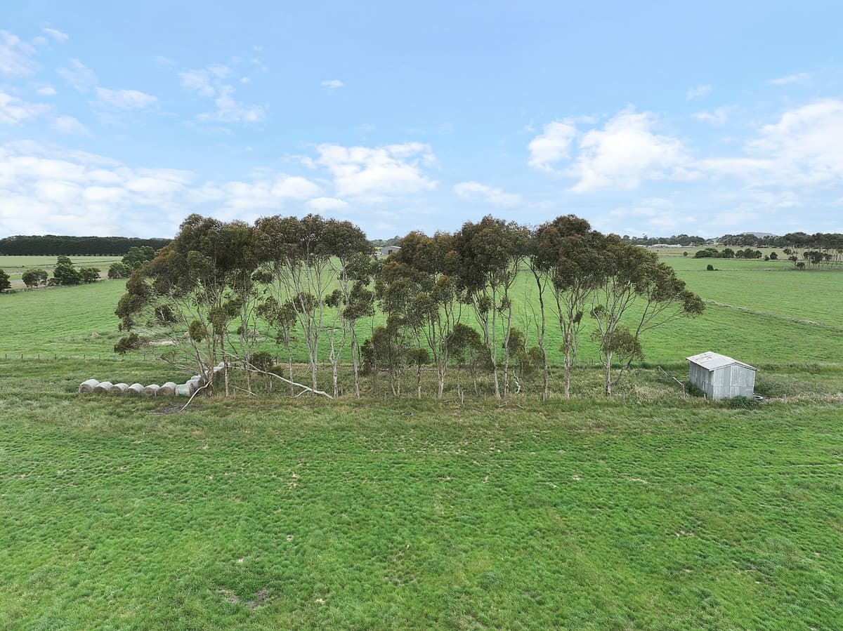 Castle Carey Road, Gnotuk, VIC, Gnotuk - Thumbnail 7
