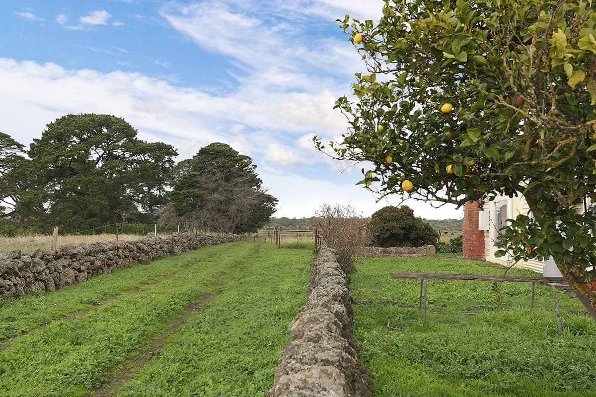 1890 Corangamite Lake Road, Dreeite, VIC, Dreeite - Thumbnail 2