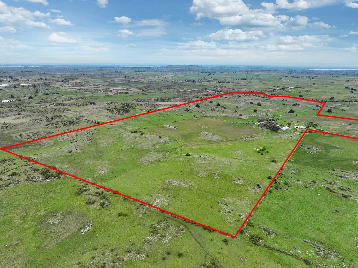 2450 Corangamite Lake Road, Dreeite, VIC, Dreeite - Thumbnail 7