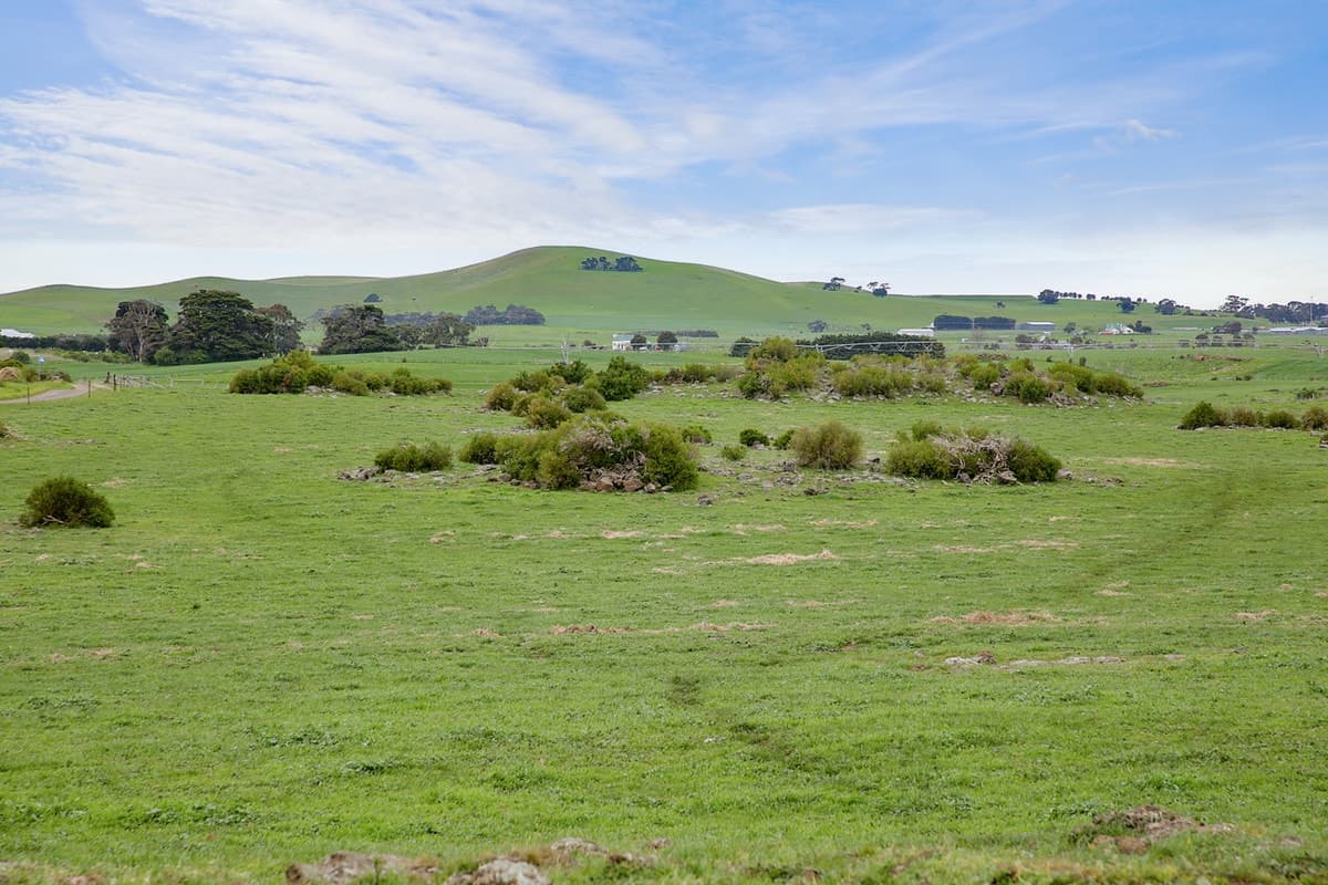 70 Mahoods Road, Alvie, VIC, Alvie - Thumbnail 3