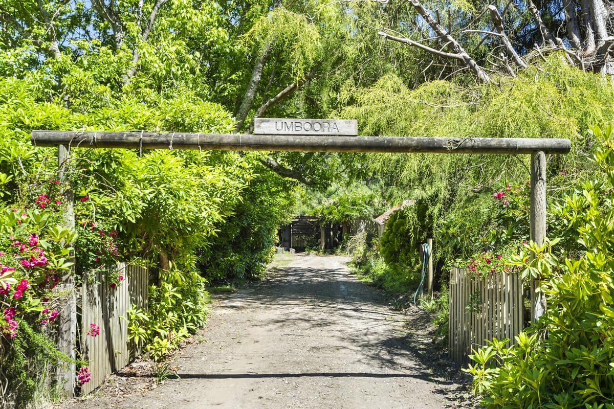 1728 Colac Lavers Hill Road, Gellibrand, VIC, Gellibrand - Thumbnail 4