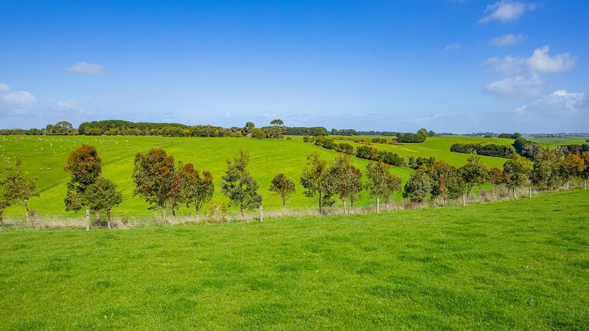 1461 Hopkins Highway, Purnim, VIC, Purnim - Thumbnail 4