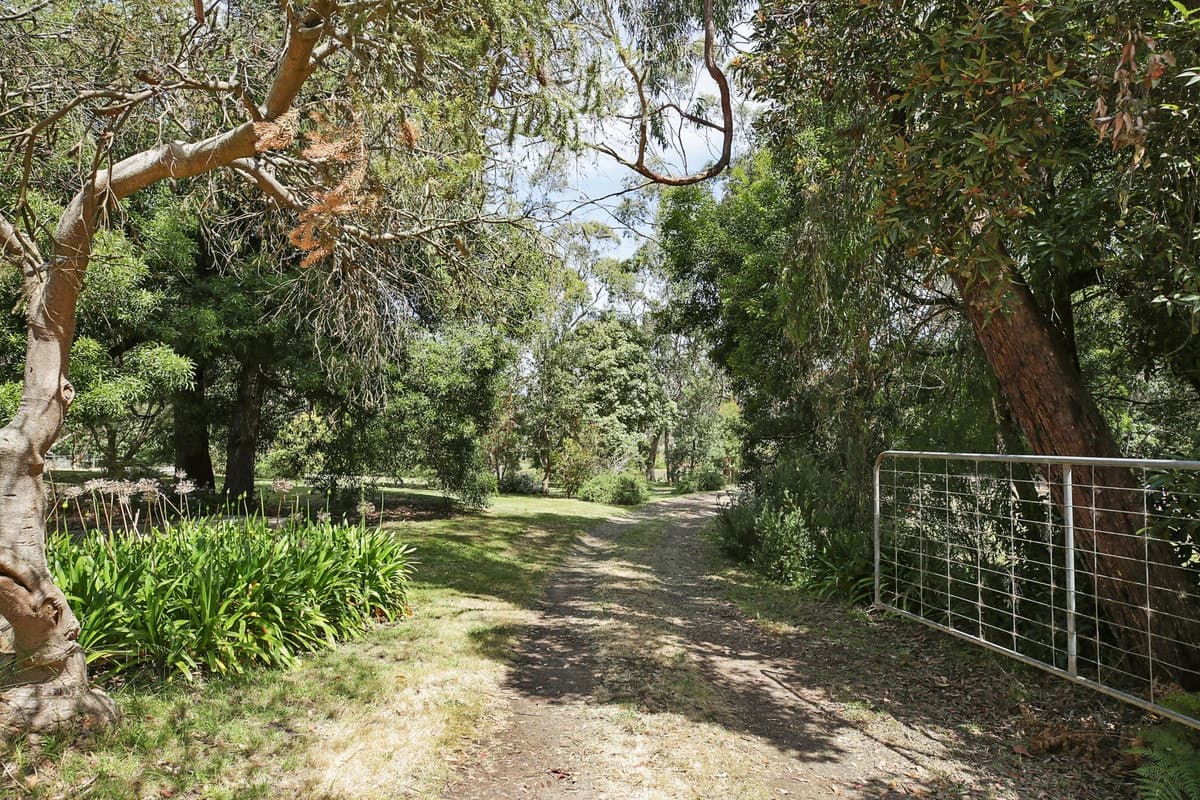 140 Birregurra-Yeodene Road, Yeodene, VIC, Yeodene - Thumbnail 4
