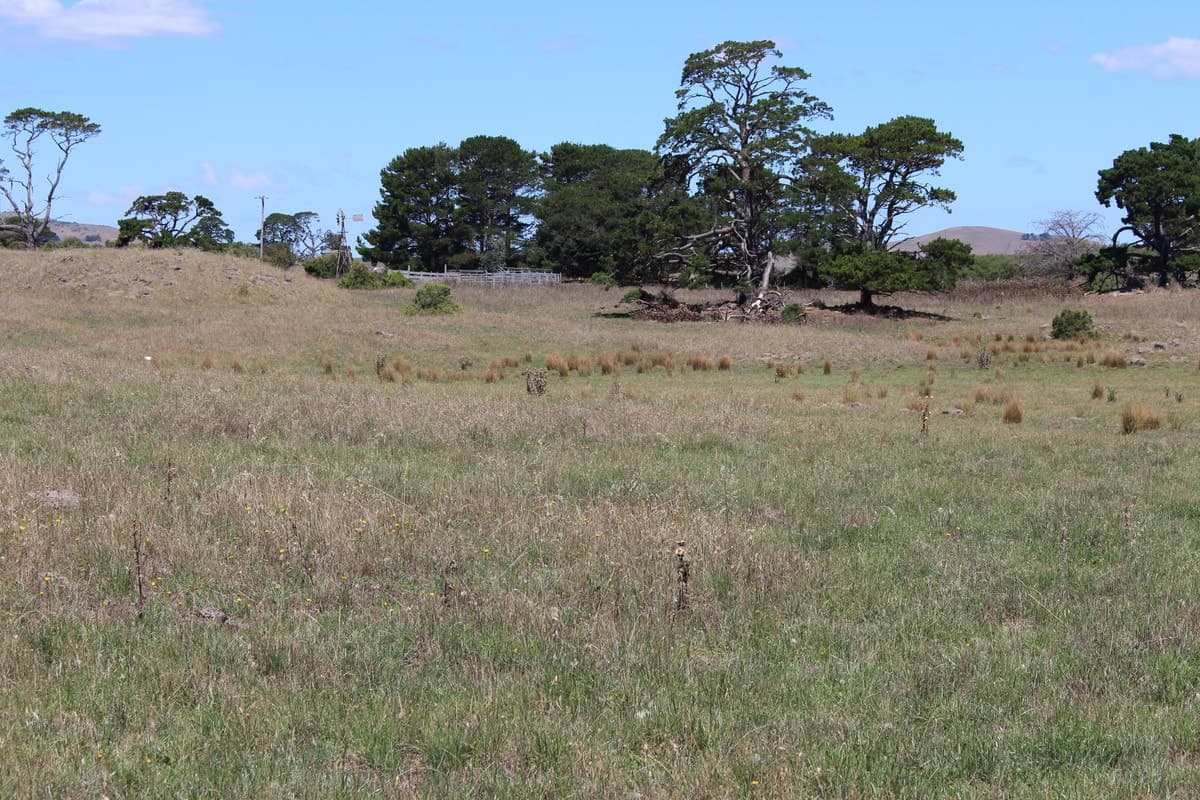 60 Lawlors Road, Dreeite South, VIC, Dreeite South - Thumbnail 2