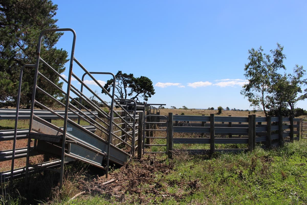 60 Lawlors Road, Dreeite South, VIC, Dreeite South - Thumbnail 8