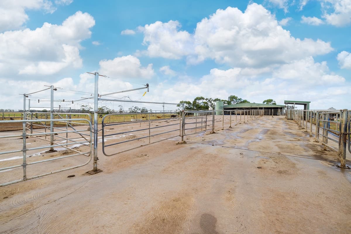 143 Elliotts Road, Elingamite, VIC, Elingamite - Thumbnail 7