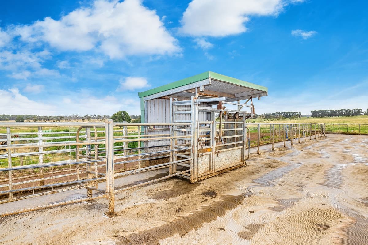 143 Elliotts Road, Elingamite, VIC, Elingamite - Thumbnail 8