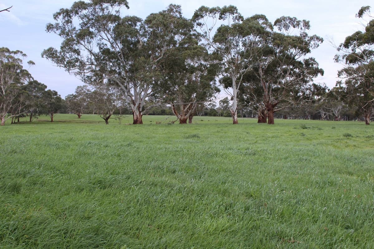110 Troups Road, Glenfyne, VIC, Glenfyne - Image 1