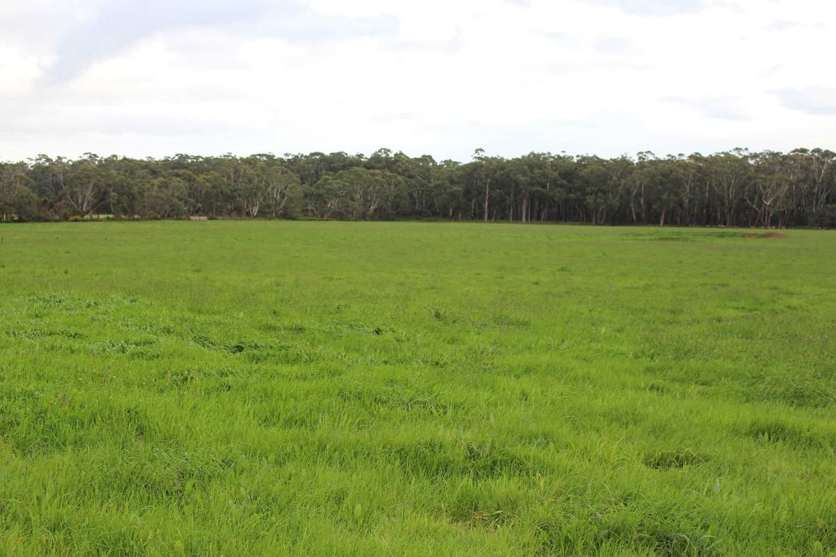 110 Troups Road, Glenfyne, VIC, Glenfyne - Thumbnail 2