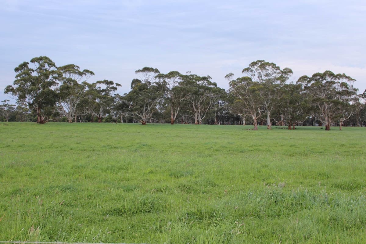 110 Troups Road, Glenfyne, VIC, Glenfyne - Thumbnail 3