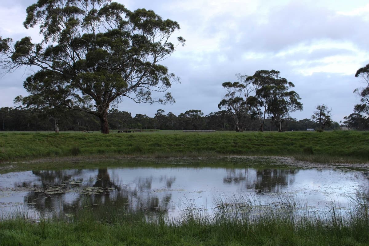 110 Troups Road, Glenfyne, VIC, Glenfyne - Thumbnail 4