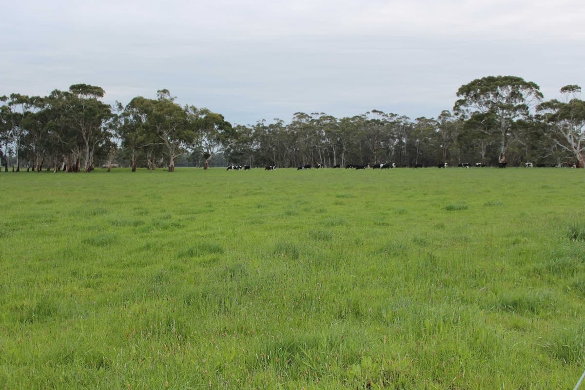 110 Troups Road, Glenfyne, VIC, Glenfyne - Thumbnail 8