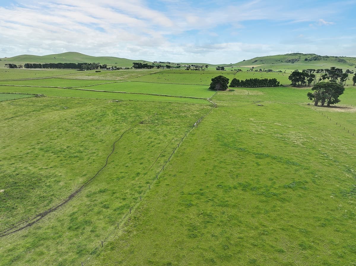 275 Coragulac - Beeac Road, Warrion, VIC, Warrion - Thumbnail 5