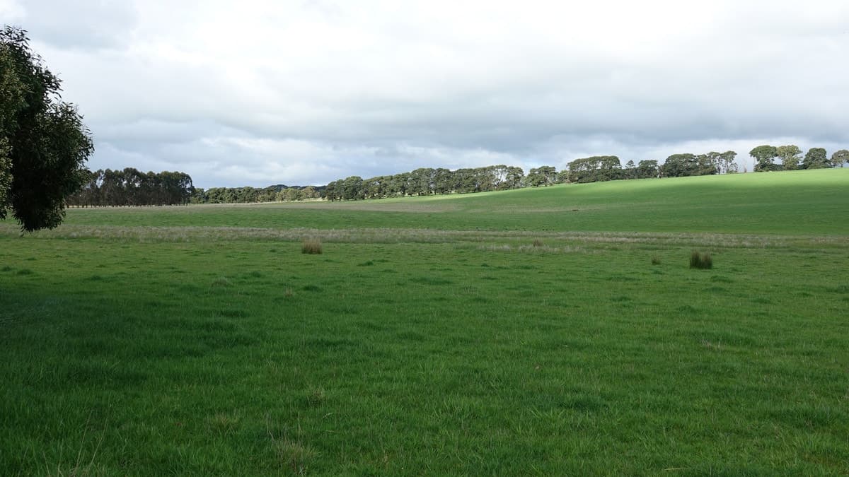 960 Birregurra-Forrest Road, Murroon, VIC, Murroon - Thumbnail 2