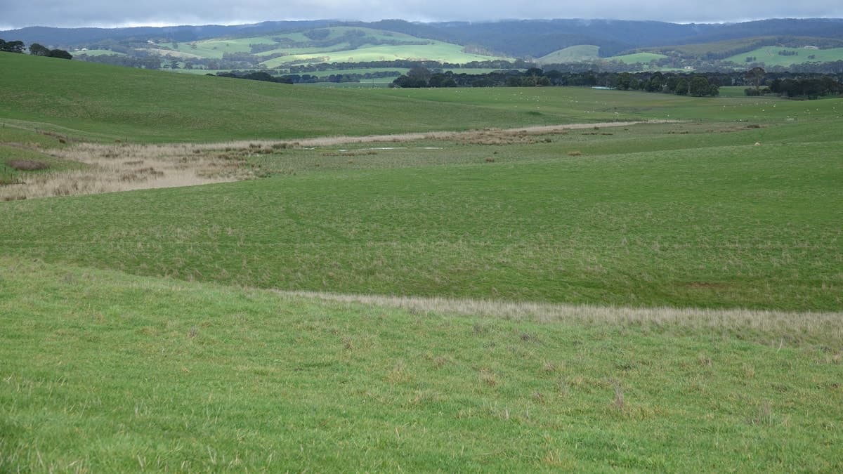960 Birregurra-Forrest Road, Murroon, VIC, Murroon - Thumbnail 5