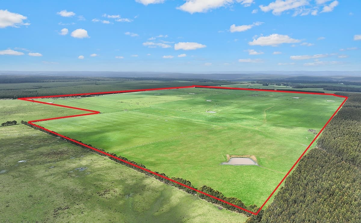 130, 200 & 240 Tin Dish Road, Irrewillipe, VIC, Irrewillipe - Image 1