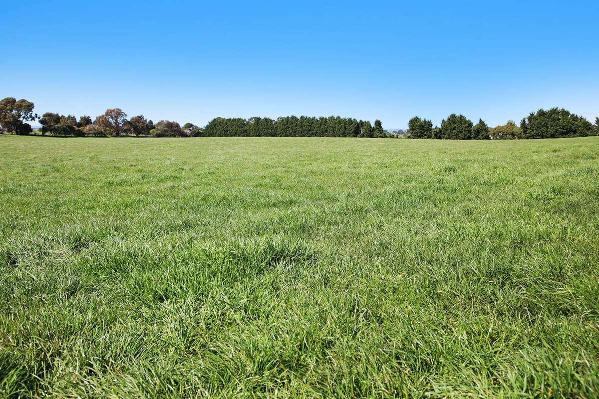 Farrells Road, Warrion, VIC, Warrion - Thumbnail 3