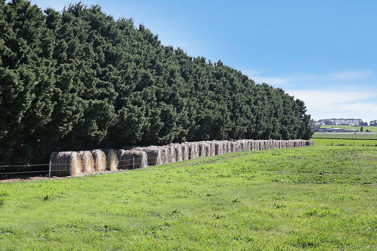 Farrells Road, Warrion, VIC, Warrion - Thumbnail 6