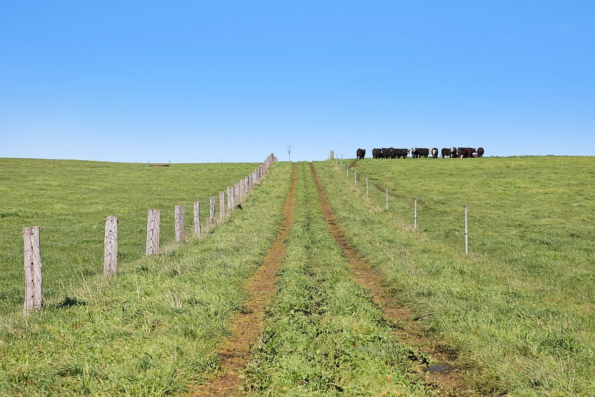 Farrells Road, Warrion, VIC, Warrion - Thumbnail 7
