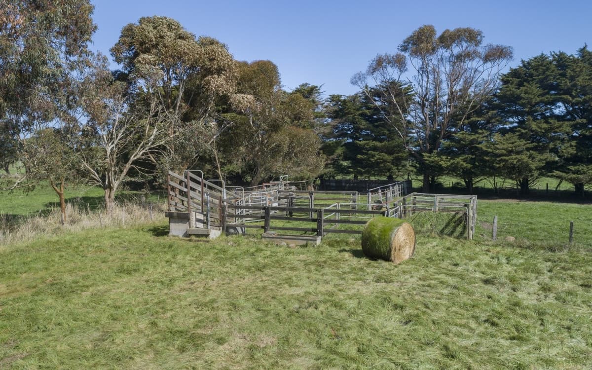 1189 Camperdown-Lismore Road, Kariah, VIC, Kariah - Thumbnail 4