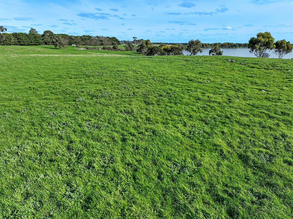 1067 Darlington-Carranballac Road, Darlington, VIC, Darlington - Thumbnail 3