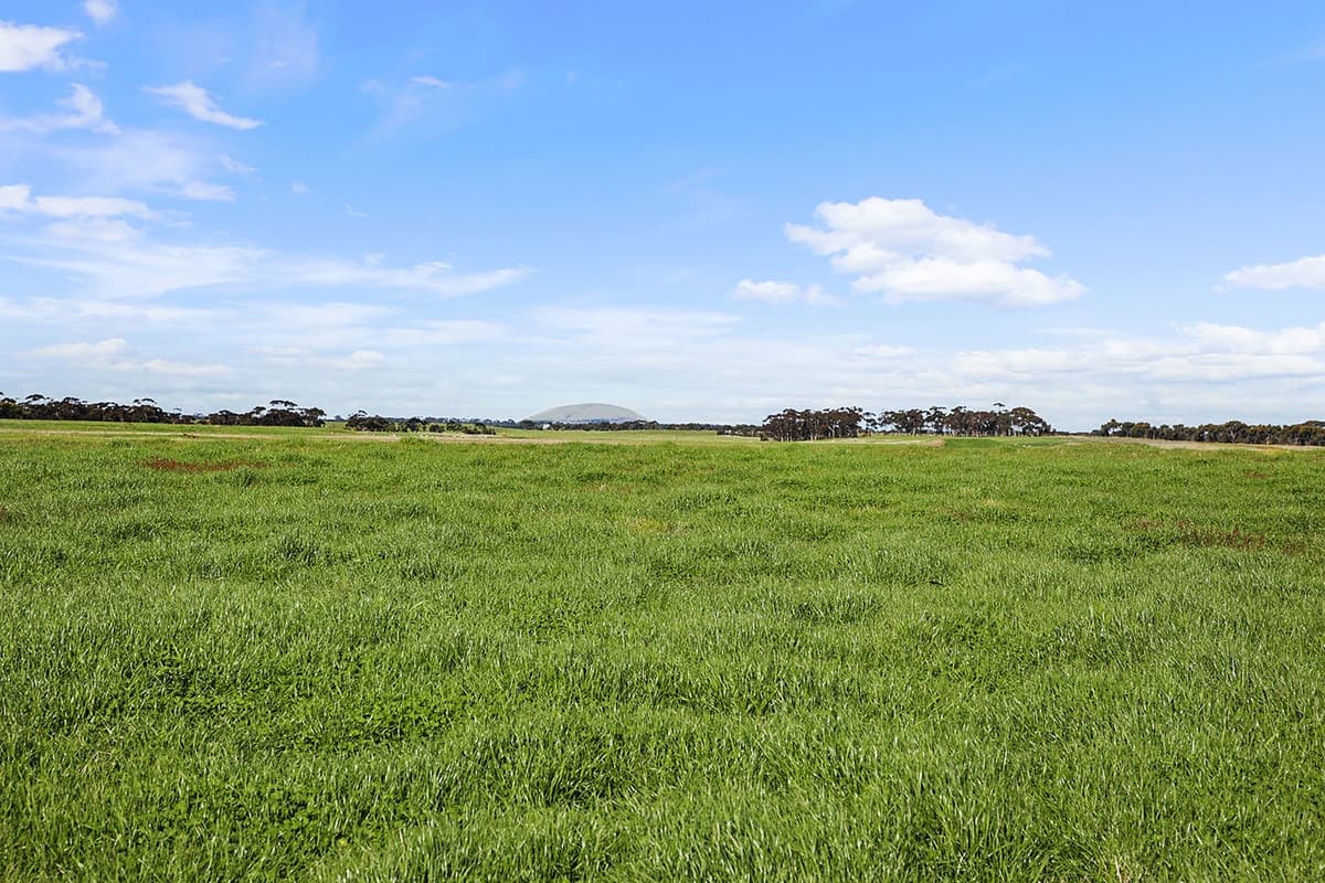 1067 Darlington-Carranballac Road, Darlington, VIC, Darlington - Thumbnail 5