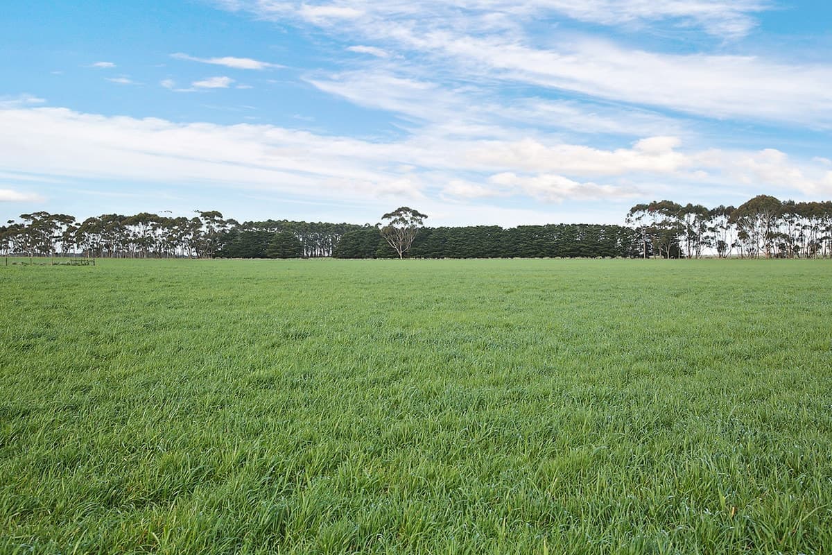 245 Beeac-Warrowie Road, Irrewarra, VIC, Irrewarra - Thumbnail 4