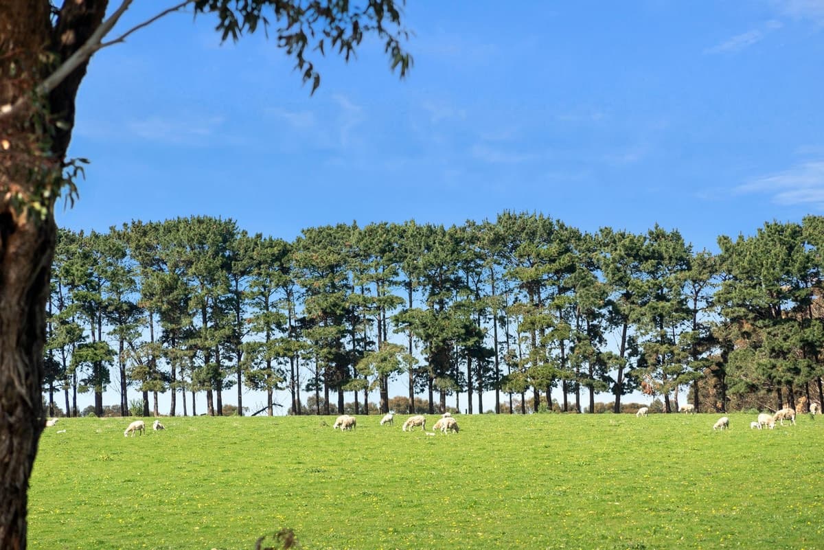 1252 - 1290 Portarlington Road, Curlewis, VIC, Curlewis - Thumbnail 3