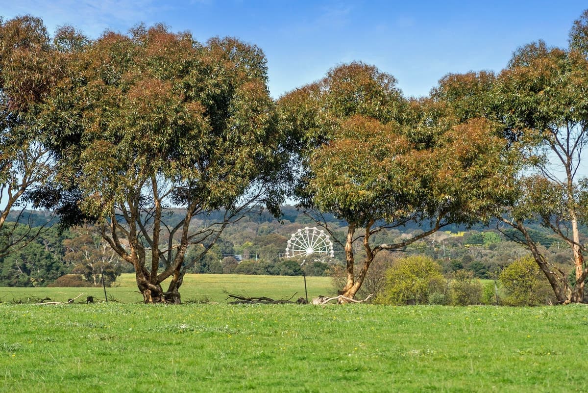 1252 - 1290 Portarlington Road, Curlewis, VIC, Curlewis - Thumbnail 5