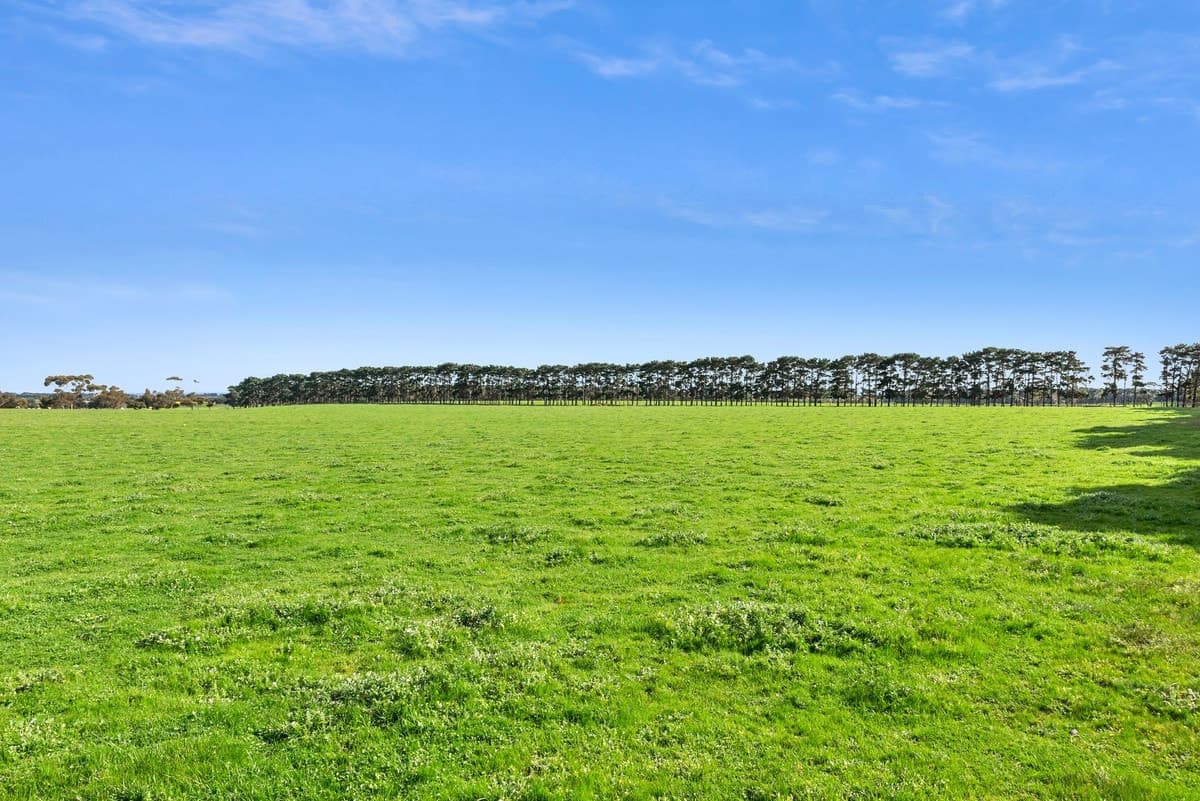 1252 - 1290 Portarlington Road, Curlewis, VIC, Curlewis - Thumbnail 7