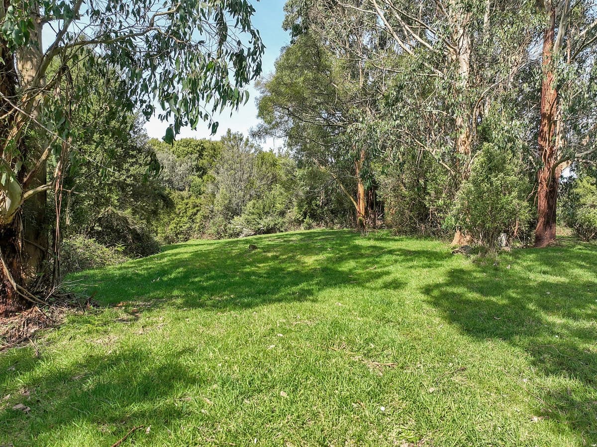 170 Blue Johanna Road, Johanna, VIC, Johanna - Thumbnail 2