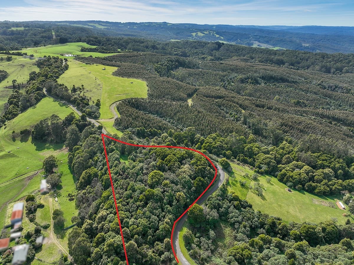 170 Blue Johanna Road, Johanna, VIC, Johanna - Thumbnail 4