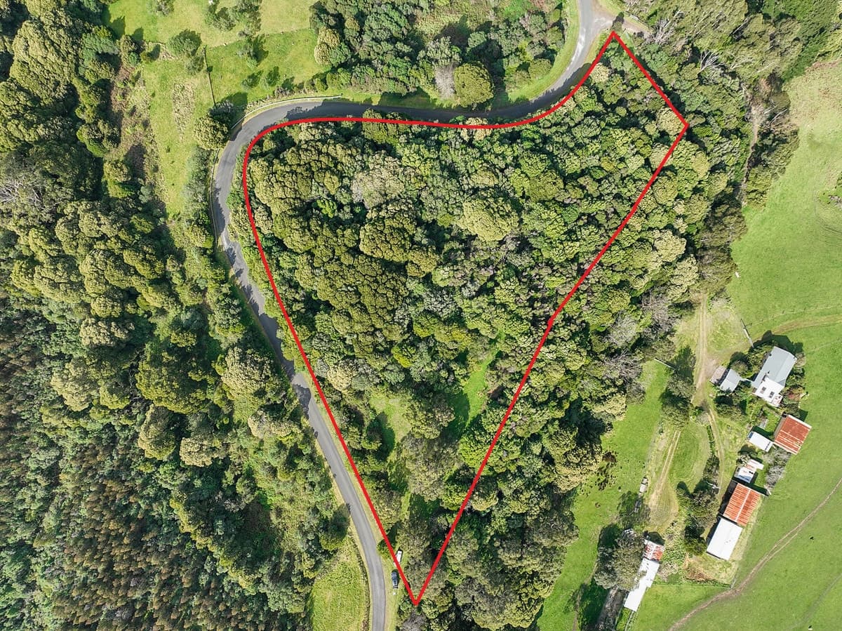 170 Blue Johanna Road, Johanna, VIC, Johanna - Thumbnail 5