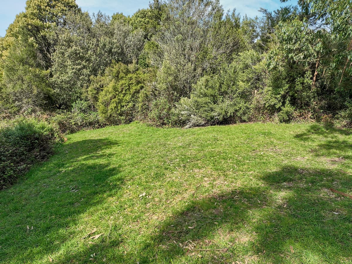 170 Blue Johanna Road, Johanna, VIC, Johanna - Thumbnail 8