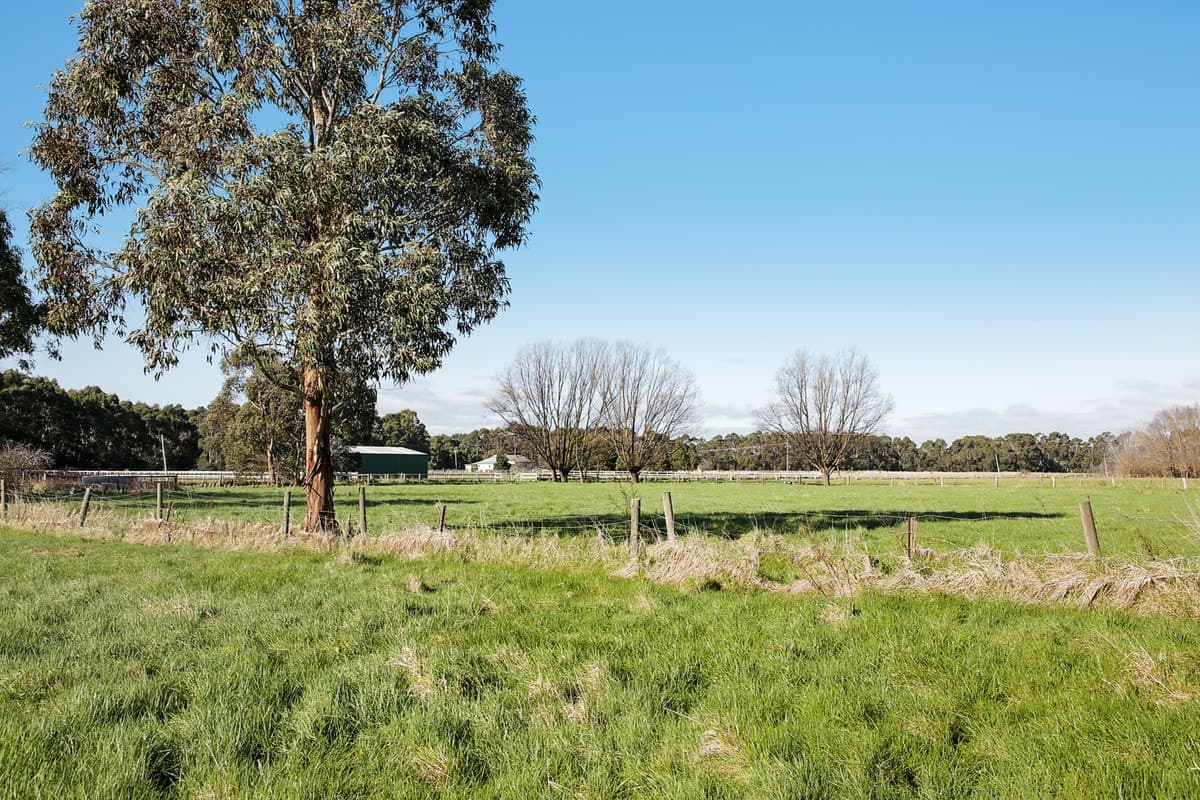 31 Ryans Road, Pirron Yallock, VIC, Pirron Yallock - Thumbnail 4