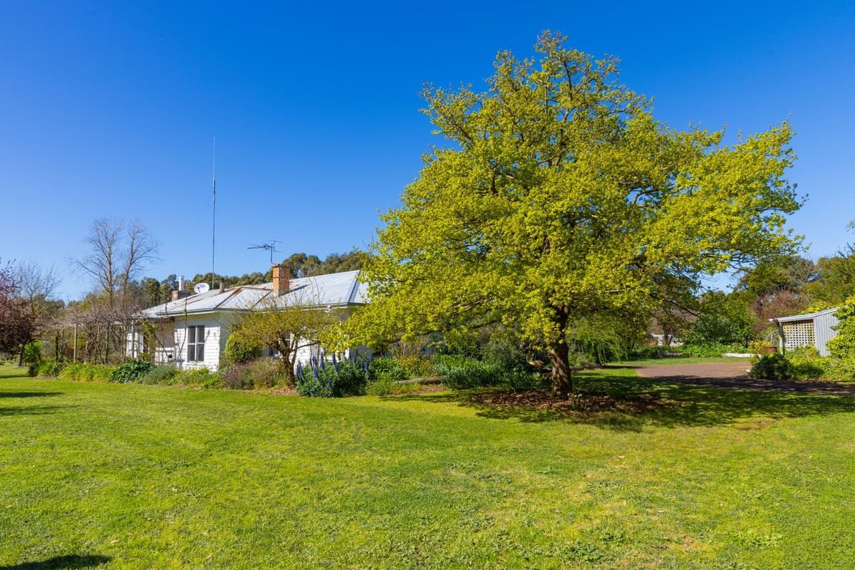 2641 Hamilton Highway, Caramut, VIC, Caramut - Thumbnail 2