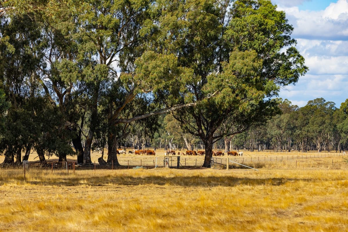 93 Pomonal East Road, Pomonal, VIC, Pomonal - Thumbnail 6