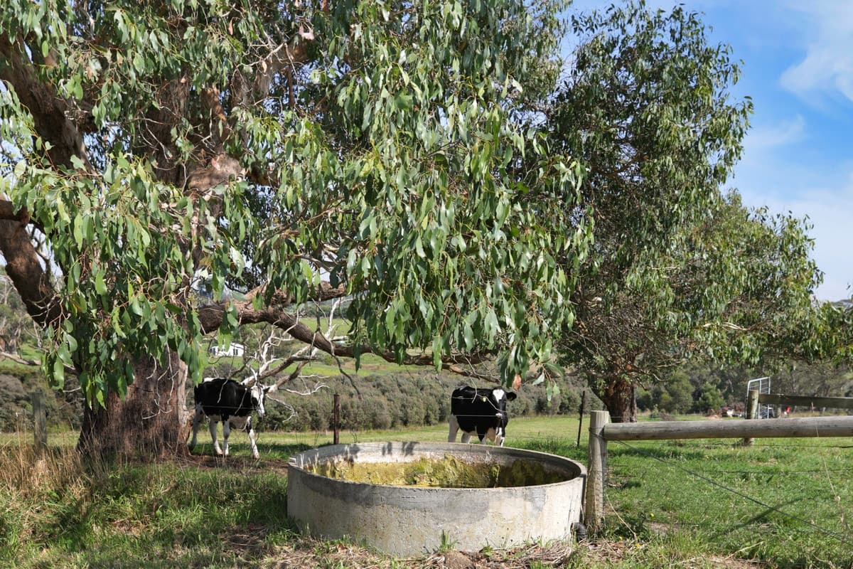 10/209 Timboon-Curdievale, Road, Timboon, VIC, Road - Thumbnail 8