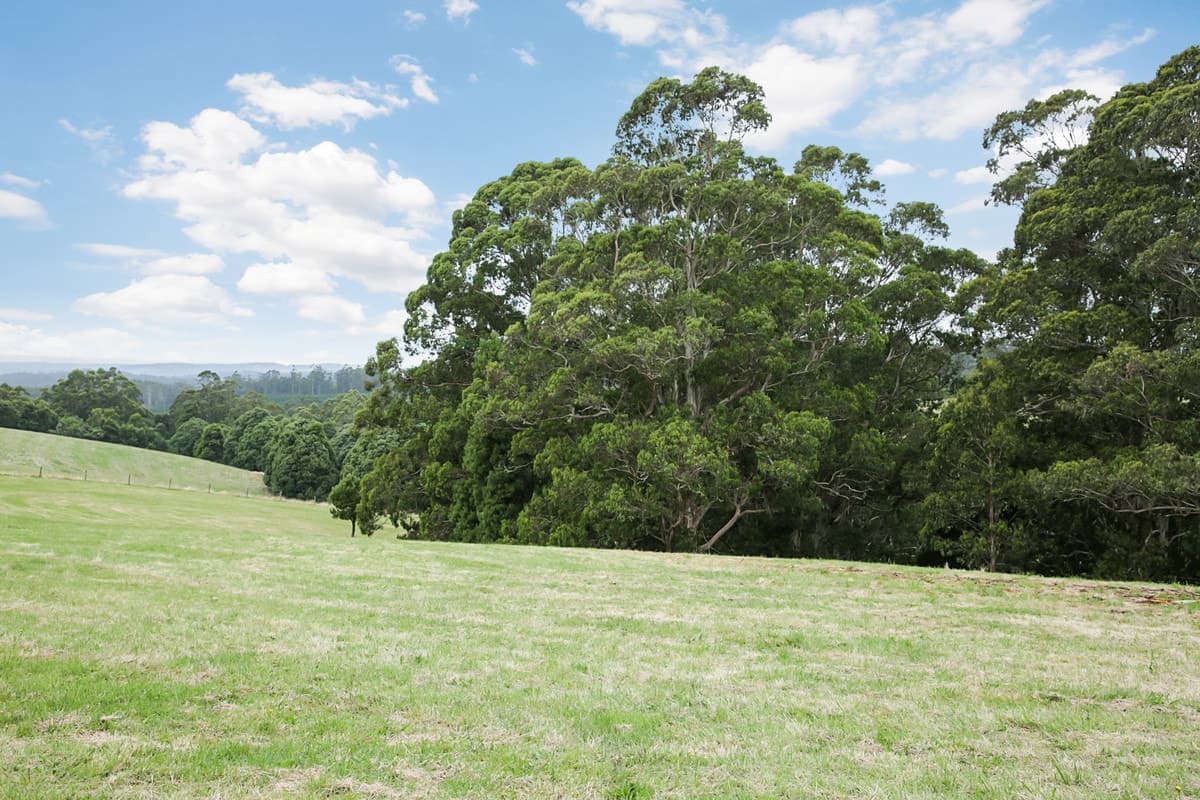 150 Old Colac Road, Beech Forest, VIC, Beech Forest - Thumbnail 2