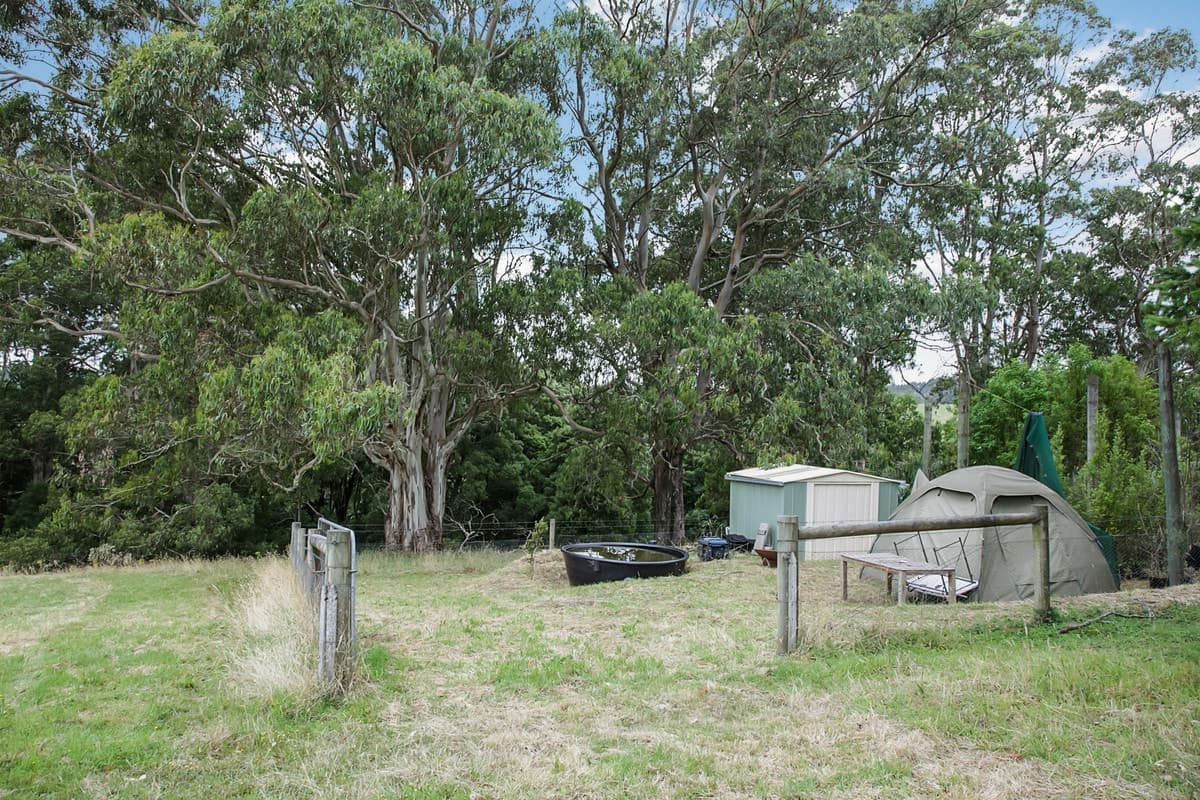 150 Old Colac Road, Beech Forest, VIC, Beech Forest - Thumbnail 6