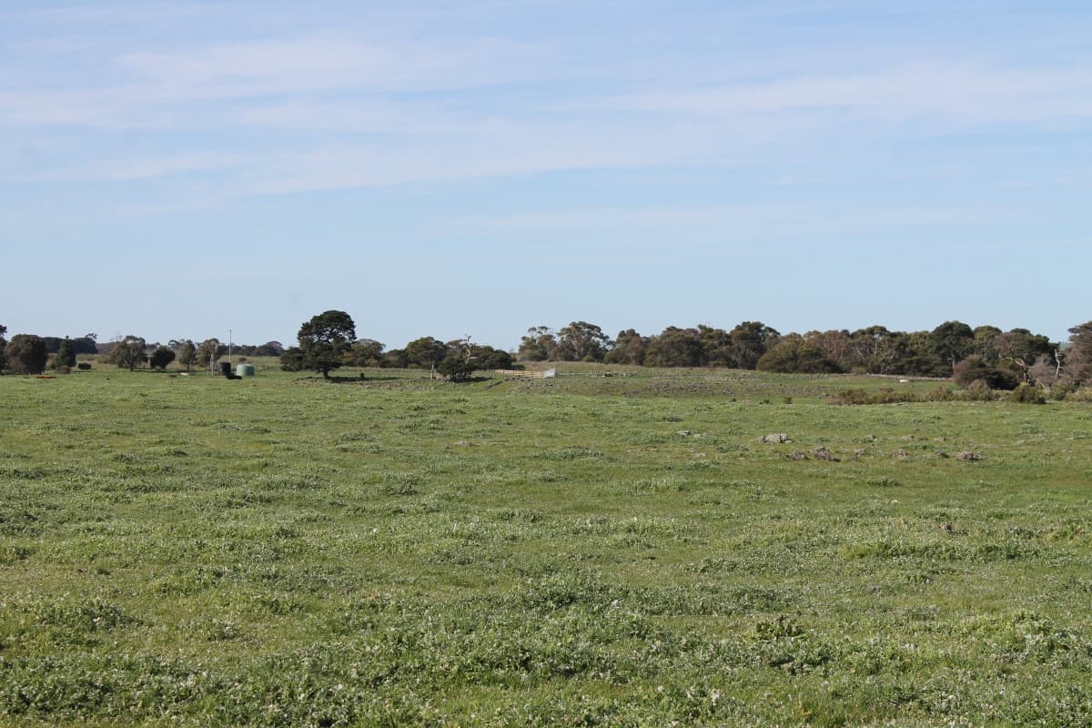 555 Wool Wool Road, Wool Wool, VIC, Wool Wool - Image 1