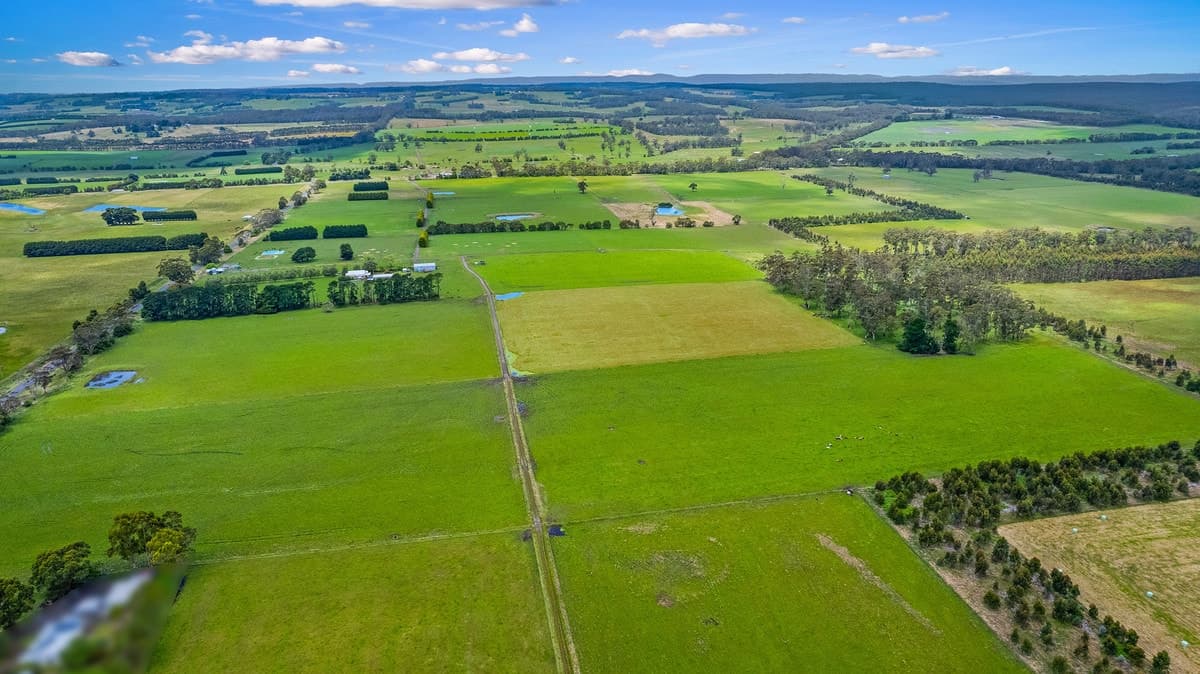 1625 Irrewillipe Road, Irrewillipe East, VIC, Irrewillipe East - Thumbnail 4