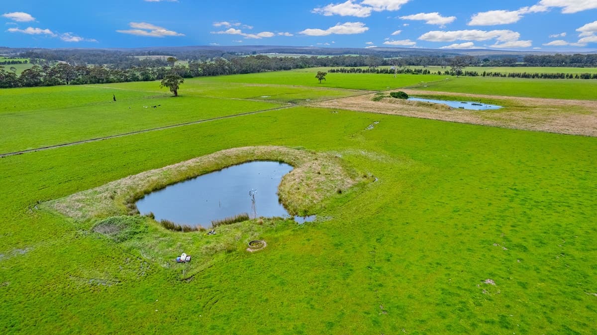 1625 Irrewillipe Road, Irrewillipe East, VIC, Irrewillipe East - Thumbnail 6