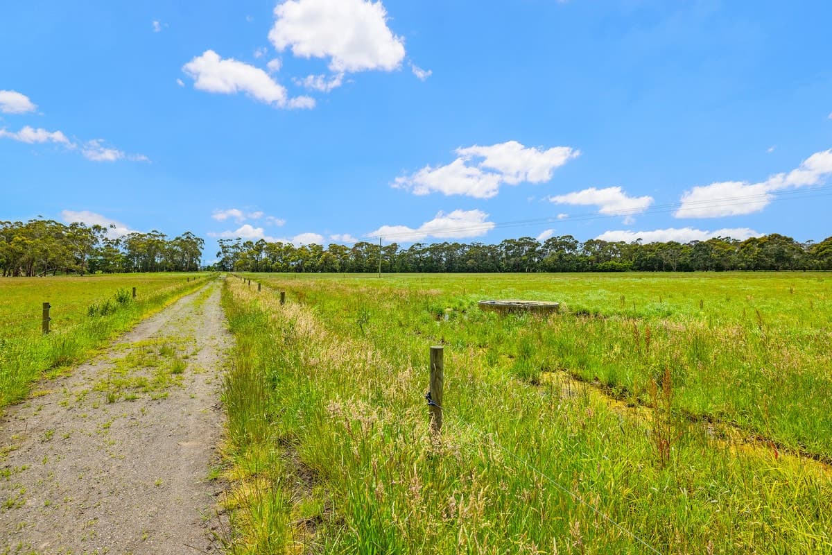 1625 Irrewillipe Road, Irrewillipe East, VIC, Irrewillipe East - Thumbnail 7