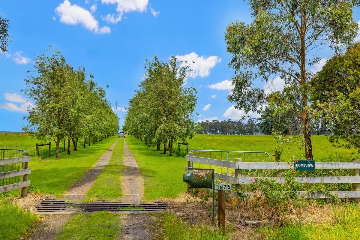 1625 Irrewillipe Road, Irrewillipe East, VIC, Irrewillipe East - Thumbnail 8